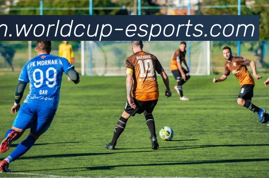 世界杯买球服务体系